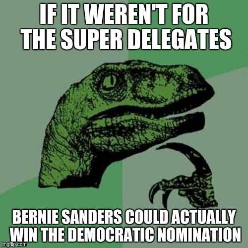 Philosoraptor | IF IT WEREN'T FOR THE SUPER DELEGATES; BERNIE SANDERS COULD ACTUALLY WIN THE DEMOCRATIC NOMINATION | image tagged in memes,philosoraptor | made w/ Imgflip meme maker