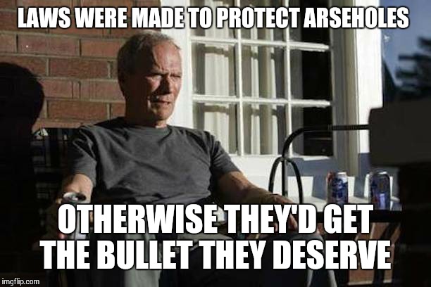Clint Eastwood Gran Torino | LAWS WERE MADE TO PROTECT ARSEHOLES; OTHERWISE THEY'D GET THE BULLET THEY DESERVE | image tagged in clint eastwood gran torino | made w/ Imgflip meme maker