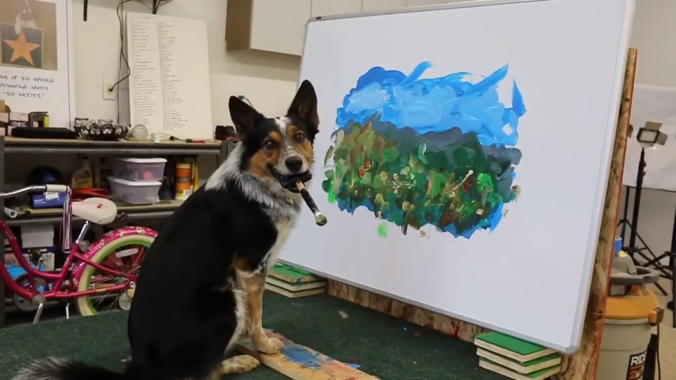 Painter Dog Blank Meme Template