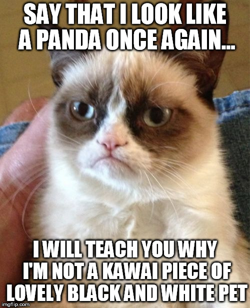 Grumpy Cat | SAY THAT I LOOK LIKE A PANDA ONCE AGAIN... I WILL TEACH YOU WHY I'M NOT A KAWAI PIECE OF LOVELY BLACK AND WHITE PET | image tagged in memes,grumpy cat | made w/ Imgflip meme maker