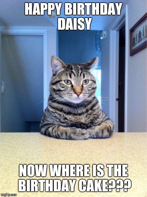 Take A Seat Cat Meme | HAPPY BIRTHDAY DAISY; NOW WHERE IS THE BIRTHDAY CAKE??? | image tagged in memes,take a seat cat | made w/ Imgflip meme maker