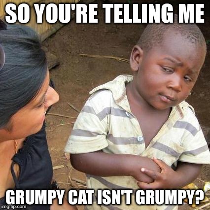 Third World Skeptical Kid | SO YOU'RE TELLING ME; GRUMPY CAT ISN'T GRUMPY? | image tagged in memes,third world skeptical kid | made w/ Imgflip meme maker