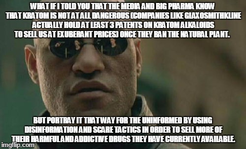 Matrix Morpheus Meme | WHAT IF I TOLD YOU THAT THE MEDIA AND BIG PHARMA KNOW THAT KRATOM IS NOT AT ALL DANGEROUS (COMPANIES LIKE GLAXOSMITHKLINE ACTUALLY HOLD AT LEAST 3 PATENTS ON KRATOM ALKALOIDS TO SELL US AT EXUBERANT PRICES) ONCE THEY BAN THE NATURAL PLANT. BUT PORTRAY IT THAT WAY FOR THE UNINFORMED BY USING DISINFORMATION AND SCARE TACTICS IN ORDER TO SELL MORE OF THEIR HARMFUL AND ADDICTIVE DRUGS THEY HAVE CURRENTLY AVAILABLE. | image tagged in memes,matrix morpheus | made w/ Imgflip meme maker