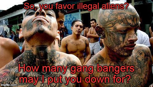 So, you favor illegal aliens? | So, you favor illegal aliens? How many gang bangers may I put you down for? | image tagged in gang bangers,illegal aliens | made w/ Imgflip meme maker