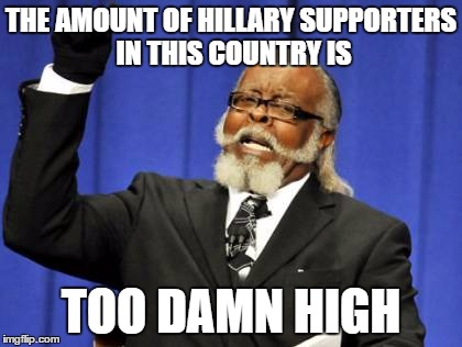 Too Damn High Meme | THE AMOUNT OF HILLARY SUPPORTERS IN THIS COUNTRY IS; TOO DAMN HIGH | image tagged in memes,too damn high | made w/ Imgflip meme maker