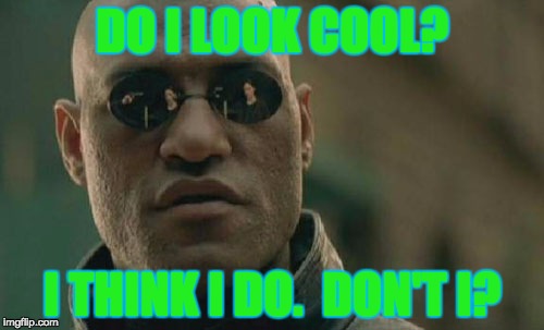 Matrix Morpheus Meme | DO I LOOK COOL? I THINK I DO.  DON'T I? | image tagged in memes,matrix morpheus | made w/ Imgflip meme maker
