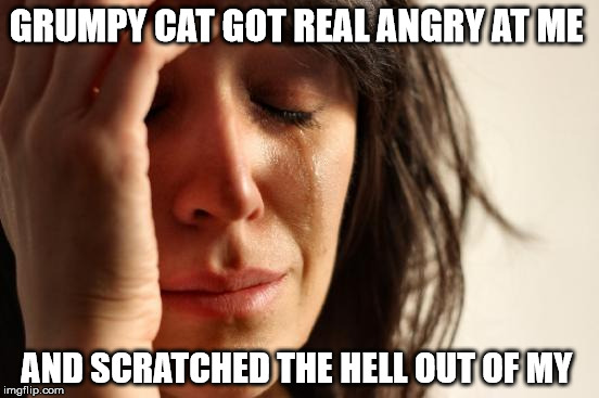 First World Problems Meme | GRUMPY CAT GOT REAL ANGRY AT ME; AND SCRATCHED THE HELL OUT OF MY | image tagged in memes,first world problems | made w/ Imgflip meme maker