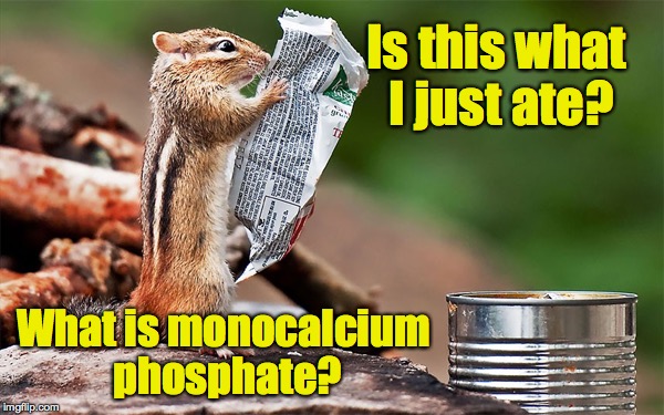 That's it.  I'm swearing off processed foods | Is this what I just ate? What is monocalcium phosphate? | image tagged in chipmonk,food wrapper,list of ingredients | made w/ Imgflip meme maker