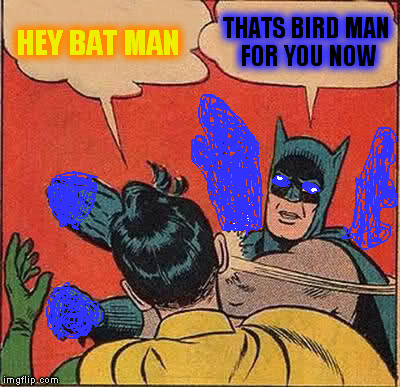 Batman Slapping Robin | HEY BAT MAN; THATS BIRD MAN FOR YOU NOW | image tagged in memes,batman slapping robin | made w/ Imgflip meme maker