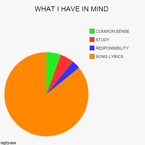 image tagged in funny,pie charts | made w/ Imgflip chart maker