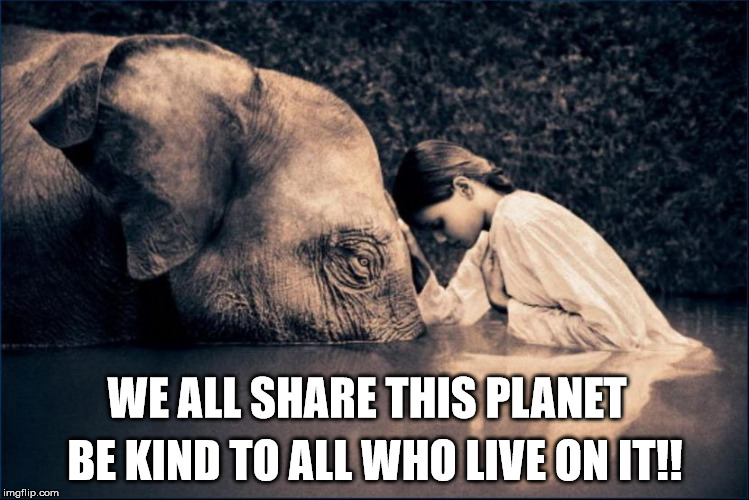 nature | BE KIND TO ALL WHO LIVE ON IT!! WE ALL SHARE THIS PLANET | image tagged in animals | made w/ Imgflip meme maker