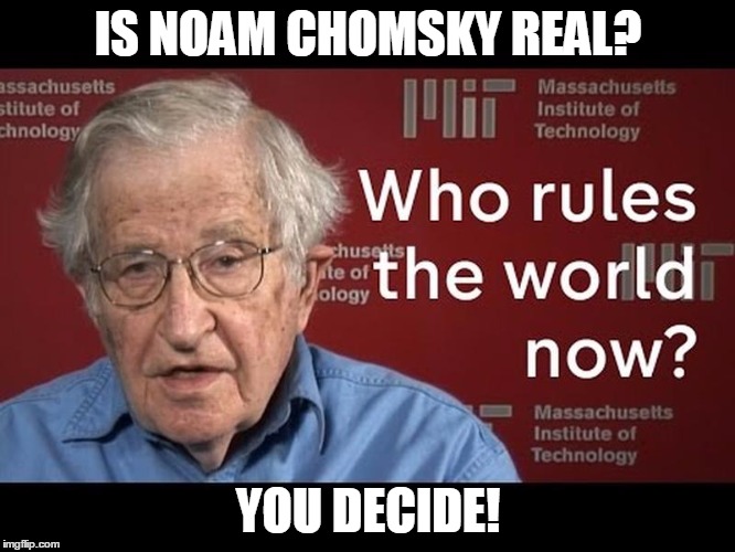 IS NOAM CHOMSKY REAL? YOU DECIDE! | image tagged in noam chomsky | made w/ Imgflip meme maker