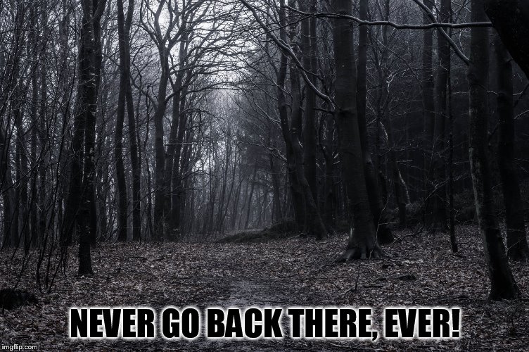 NEVER GO BACK THERE, EVER! | made w/ Imgflip meme maker