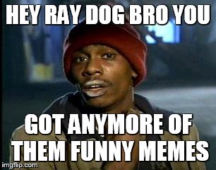 Y'all Got Any More Of That | HEY RAY DOG BRO YOU; GOT ANYMORE OF THEM FUNNY MEMES | image tagged in memes,yall got any more of | made w/ Imgflip meme maker