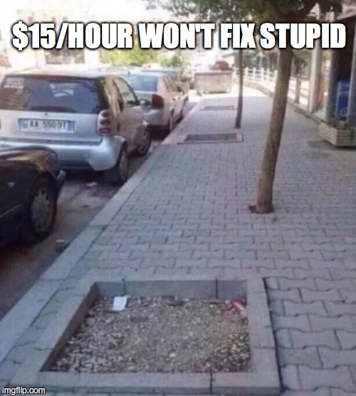 SHUT UP, ALREADY, ABOUT RAISING THE MINIMUM WAGE | $15/HOUR WON'T FIX STUPID | image tagged in stupid,funny,you had one job | made w/ Imgflip meme maker