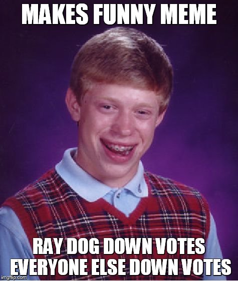 Bad Luck Brian | MAKES FUNNY MEME; RAY DOG DOWN VOTES EVERYONE ELSE DOWN VOTES | image tagged in memes,bad luck brian | made w/ Imgflip meme maker