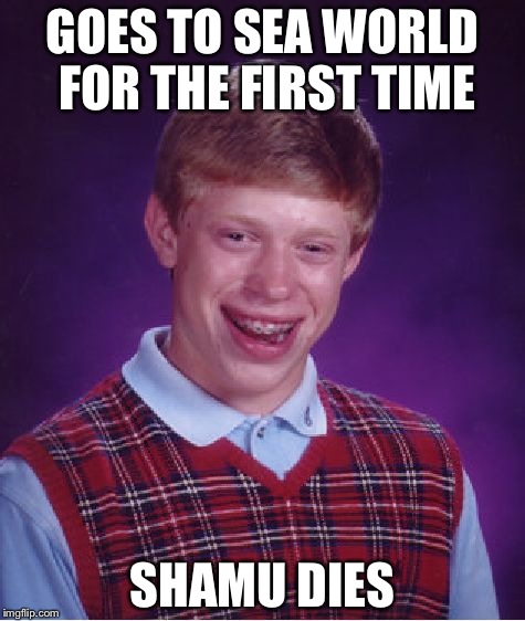 Bad Luck Brian | GOES TO SEA WORLD FOR THE FIRST TIME; SHAMU DIES | image tagged in memes,bad luck brian | made w/ Imgflip meme maker