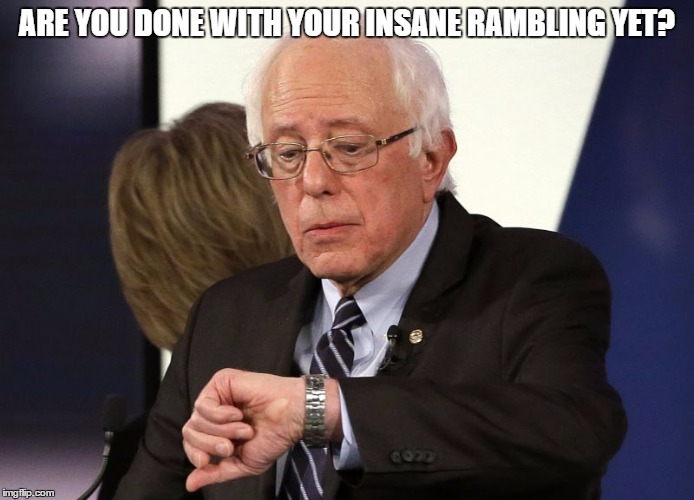 Bernie Look At The Time | ARE YOU DONE WITH YOUR INSANE RAMBLING YET? | image tagged in bernie look at the time | made w/ Imgflip meme maker