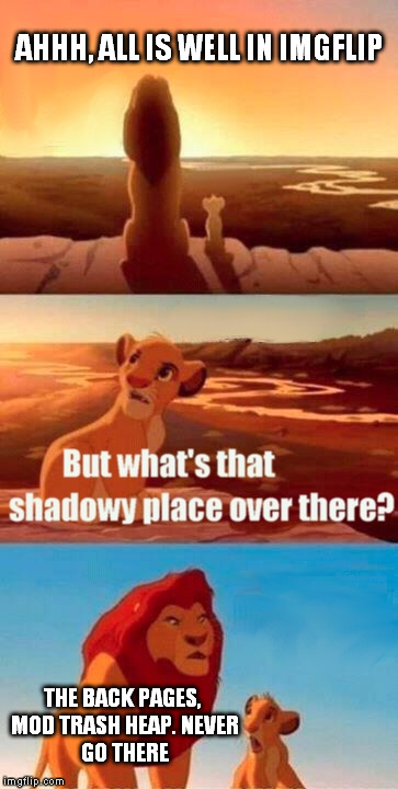 Simba Shadowy Place | AHHH, ALL IS WELL IN IMGFLIP; THE BACK PAGES, MOD TRASH HEAP.
NEVER GO THERE | image tagged in memes,simba shadowy place | made w/ Imgflip meme maker