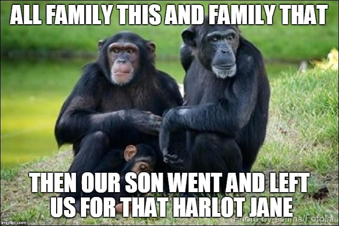 ALL FAMILY THIS AND FAMILY THAT THEN OUR SON WENT AND LEFT US FOR THAT HARLOT JANE | made w/ Imgflip meme maker