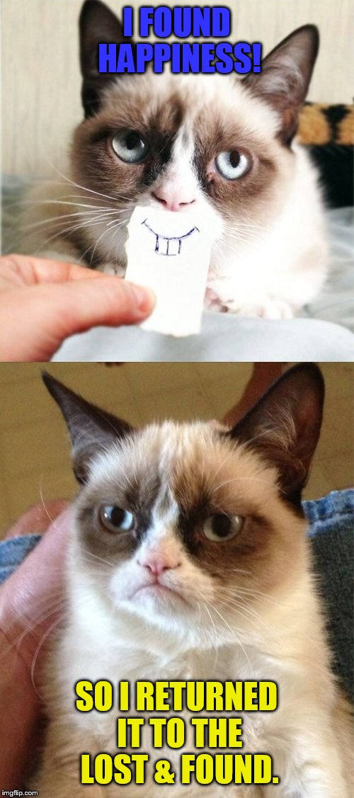 Grumpy cat will always be grumpy cat |  I FOUND HAPPINESS! SO I RETURNED IT TO THE LOST & FOUND. | image tagged in grumpy cat,grumpy cat smile,memes,cats,animals,lol | made w/ Imgflip meme maker