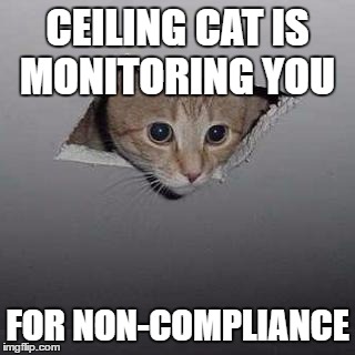 Ceiling Cat Meme | CEILING CAT IS MONITORING YOU; FOR NON-COMPLIANCE | image tagged in memes,ceiling cat | made w/ Imgflip meme maker