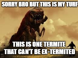 this termite can't be exeggcuted! | SORRY BRO BUT THIS IS MY TURF; THIS IS ONE TERMITE THAT CAN'T BE EX-TERMITED | image tagged in meme,termite | made w/ Imgflip meme maker