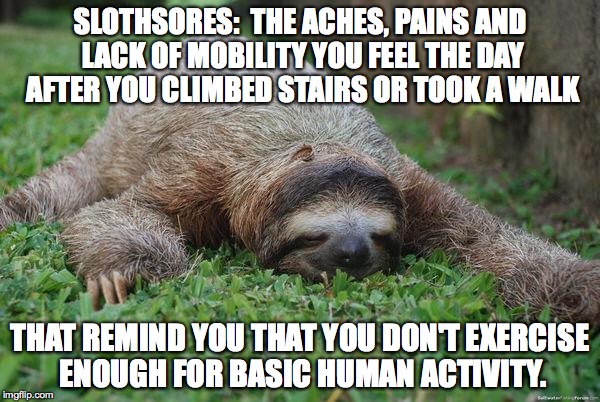 Sloth Monday | SLOTHSORES: 
THE ACHES, PAINS AND LACK OF MOBILITY YOU FEEL THE DAY AFTER YOU CLIMBED STAIRS OR TOOK A WALK; THAT REMIND YOU THAT YOU DON'T EXERCISE ENOUGH FOR BASIC HUMAN ACTIVITY. | image tagged in sloth monday | made w/ Imgflip meme maker