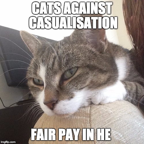 CATS AGAINST CASUALISATION; FAIR PAY IN HE | image tagged in cats | made w/ Imgflip meme maker