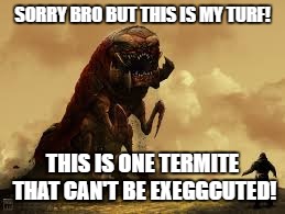 cant be exeggcuted | SORRY BRO BUT THIS IS MY TURF! THIS IS ONE TERMITE THAT CAN'T BE EXEGGCUTED! | image tagged in meme,termite,joke | made w/ Imgflip meme maker