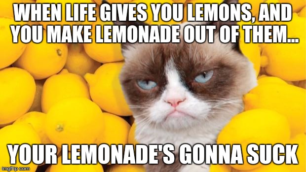 Grumpy Cat lemons | WHEN LIFE GIVES YOU LEMONS, AND YOU MAKE LEMONADE OUT OF THEM... YOUR LEMONADE'S GONNA SUCK | image tagged in grumpy cat lemons | made w/ Imgflip meme maker