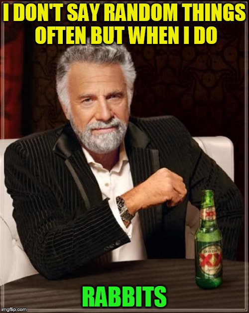The Most Interesting Man In The World Meme | I DON'T SAY RANDOM THINGS OFTEN BUT WHEN I DO RABBITS | image tagged in memes,the most interesting man in the world | made w/ Imgflip meme maker