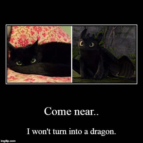 image tagged in funny,demotivationals | made w/ Imgflip demotivational maker