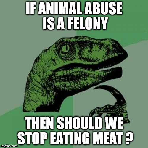 Philosoraptor | IF ANIMAL ABUSE IS A FELONY; THEN SHOULD WE STOP EATING MEAT ? | image tagged in memes,philosoraptor | made w/ Imgflip meme maker