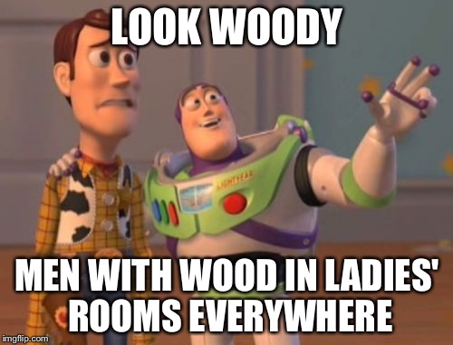 X, X Everywhere Meme | LOOK WOODY MEN WITH WOOD IN LADIES' ROOMS EVERYWHERE | image tagged in memes,x x everywhere | made w/ Imgflip meme maker