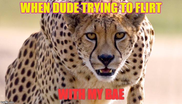 WHEN DUDE TRYING TO FLIRT; WITH MY BAE | image tagged in death stare | made w/ Imgflip meme maker
