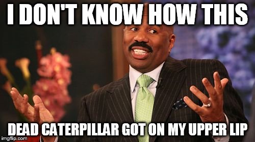 Steve Harvey Meme | I DON'T KNOW HOW THIS; DEAD CATERPILLAR GOT ON MY UPPER LIP | image tagged in memes,steve harvey | made w/ Imgflip meme maker