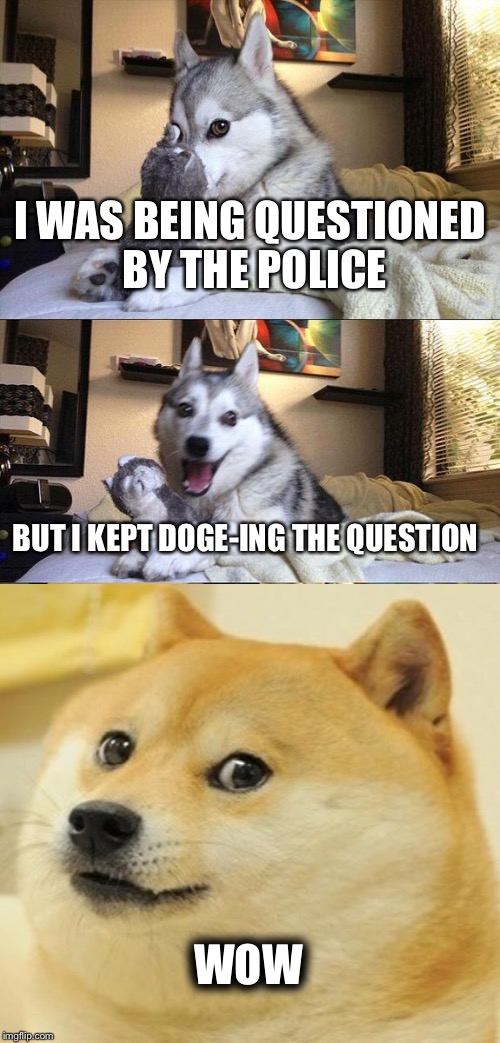Bad Pun Dog | I WAS BEING QUESTIONED BY THE POLICE; BUT I KEPT DOGE-ING THE QUESTION; WOW | image tagged in memes,bad pun dog | made w/ Imgflip meme maker