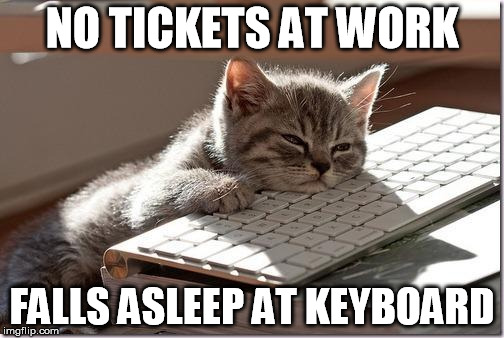 Bored Keyboard Cat | NO TICKETS AT WORK; FALLS ASLEEP AT KEYBOARD | image tagged in bored keyboard cat | made w/ Imgflip meme maker