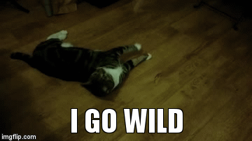 I GO WILD | image tagged in gifs | made w/ Imgflip video-to-gif maker