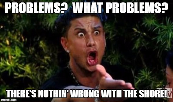 PROBLEMS?  WHAT PROBLEMS? THERE'S NOTHIN' WRONG WITH THE SHORE! | made w/ Imgflip meme maker