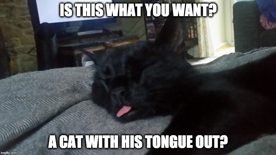 Kitten tongue | IS THIS WHAT YOU WANT? A CAT WITH HIS TONGUE OUT? | image tagged in the most interesting cat in the world,cat,kitten | made w/ Imgflip meme maker