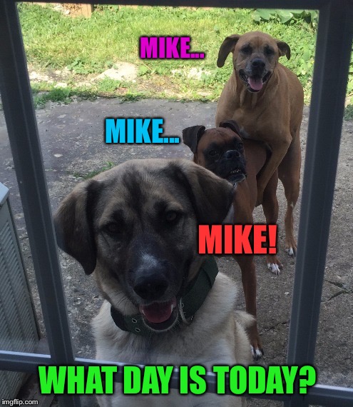 MIKE... WHAT DAY IS TODAY? MIKE... MIKE! | made w/ Imgflip meme maker