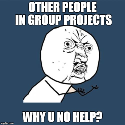 Y U No | OTHER PEOPLE IN GROUP PROJECTS; WHY U NO HELP? | image tagged in memes,y u no | made w/ Imgflip meme maker