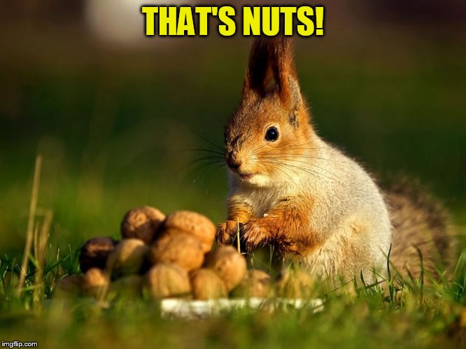 THAT'S NUTS! | made w/ Imgflip meme maker