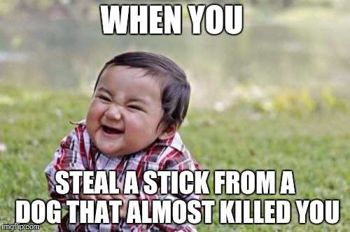 Evil Toddler Meme | WHEN YOU STEAL A STICK FROM A DOG THAT ALMOST KILLED YOU | image tagged in memes,evil toddler | made w/ Imgflip meme maker