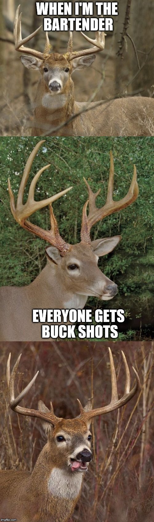 Bad Pun Buck | WHEN I'M THE BARTENDER; EVERYONE GETS BUCK SHOTS | image tagged in bad pun buck | made w/ Imgflip meme maker