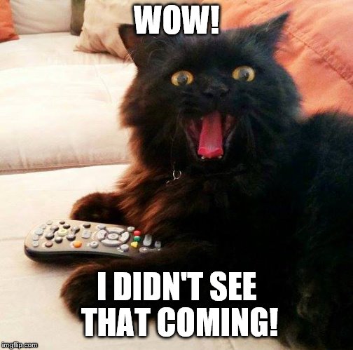 OH BOY! Cat |  WOW! I DIDN'T SEE THAT COMING! | image tagged in oh boy cat,memes,surprised cat,surprised,tv,funny | made w/ Imgflip meme maker