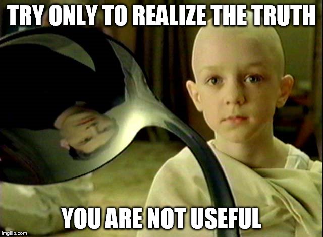 TRY ONLY TO REALIZE THE TRUTH YOU ARE NOT USEFUL | made w/ Imgflip meme maker