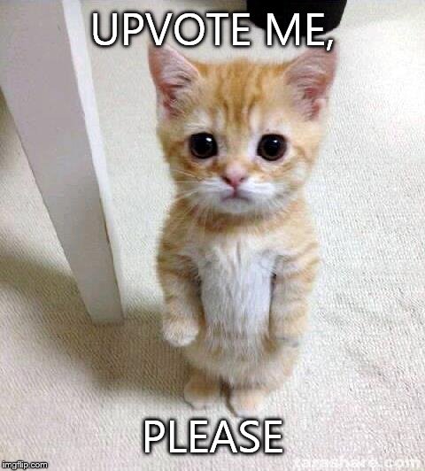 I WILL UPVOTE 20 MEMES FROM EACH PERSON WHO MEME-COMMENTS  IF I GET TO THE 10,000 POINTS. PLEASE  | UPVOTE ME, PLEASE | image tagged in memes,cute cat,FreeKarma4U | made w/ Imgflip meme maker